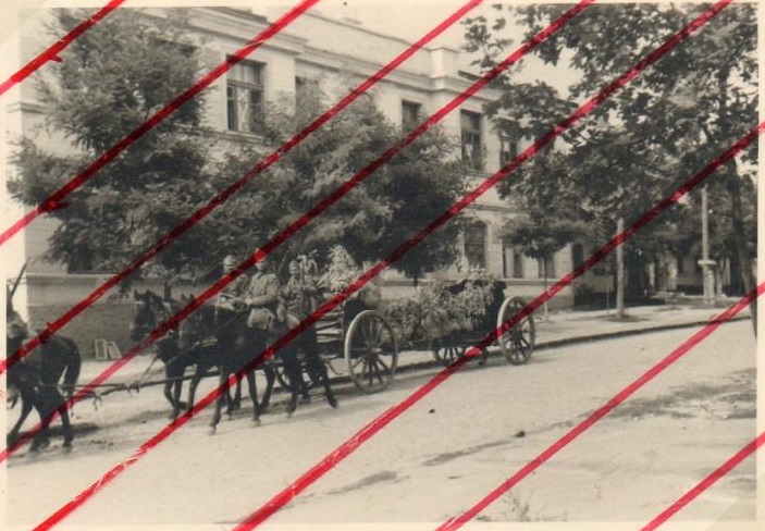 Румынские войска   4